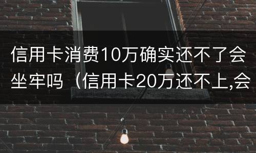 信用卡消费10万确实还不了会坐牢吗（信用卡20万还不上,会不会坐牢）