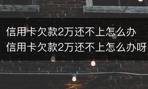 信用卡欠款2万还不上怎么办 信用卡欠款2万还不上怎么办呀