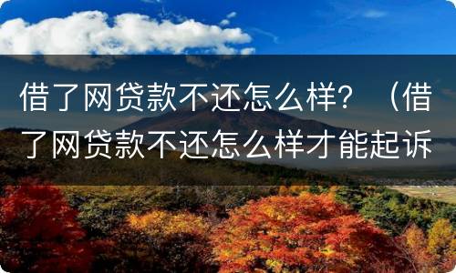 借了网贷款不还怎么样？（借了网贷款不还怎么样才能起诉）