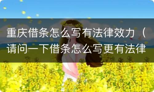 重庆借条怎么写有法律效力（请问一下借条怎么写更有法律效果）