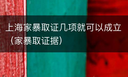 上海家暴取证几项就可以成立（家暴取证据）