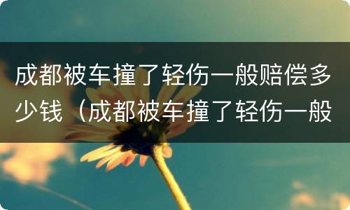 成都被车撞了轻伤一般赔偿多少钱（成都被车撞了轻伤一般赔偿多少钱啊）