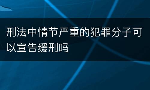 刑法中情节严重的犯罪分子可以宣告缓刑吗