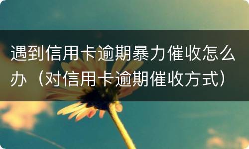遇到信用卡逾期暴力催收怎么办（对信用卡逾期催收方式）
