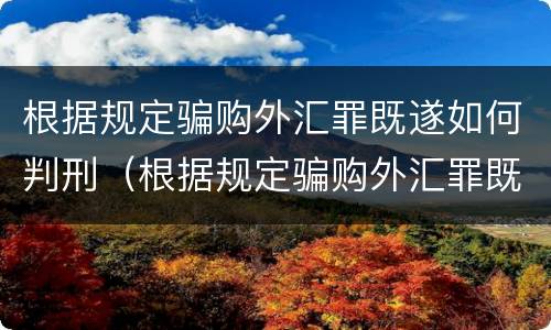根据规定骗购外汇罪既遂如何判刑（根据规定骗购外汇罪既遂如何判刑）
