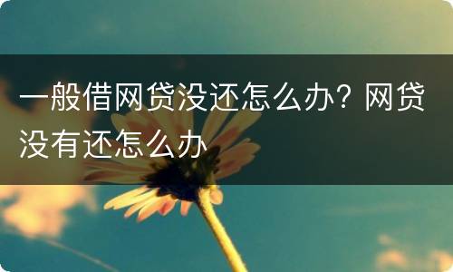 一般借网贷没还怎么办? 网贷没有还怎么办