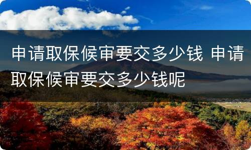 申请取保候审要交多少钱 申请取保候审要交多少钱呢