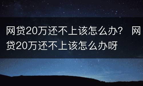 网贷20万还不上该怎么办？ 网贷20万还不上该怎么办呀