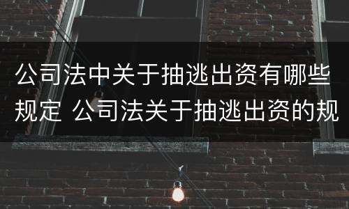 公司法中关于抽逃出资有哪些规定 公司法关于抽逃出资的规定