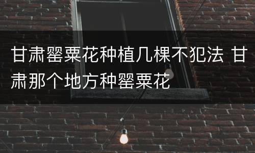 甘肃罂粟花种植几棵不犯法 甘肃那个地方种罂粟花