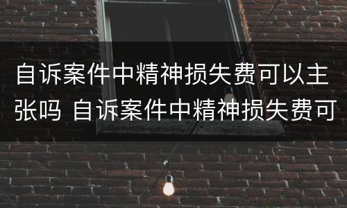 自诉案件中精神损失费可以主张吗 自诉案件中精神损失费可以主张吗怎么办