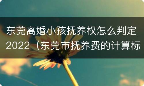 东莞离婚小孩抚养权怎么判定2022（东莞市抚养费的计算标准）