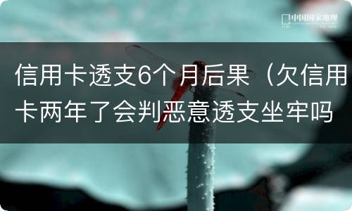 信用卡透支6个月后果（欠信用卡两年了会判恶意透支坐牢吗）