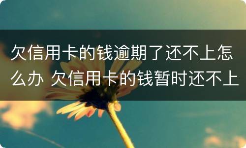 欠信用卡的钱逾期了还不上怎么办 欠信用卡的钱暂时还不上怎么办