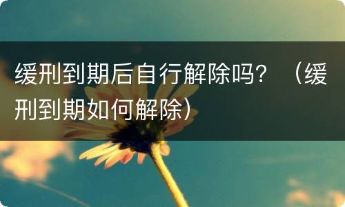 缓刑到期后自行解除吗？（缓刑到期如何解除）