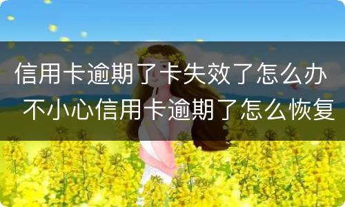 信用卡逾期了卡失效了怎么办 不小心信用卡逾期了怎么恢复