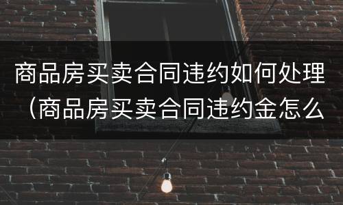 商品房买卖合同违约如何处理（商品房买卖合同违约金怎么算）