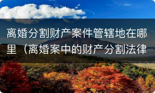 离婚分割财产案件管辖地在哪里（离婚案中的财产分割法律程序）