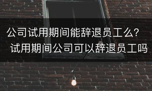 公司试用期间能辞退员工么？ 试用期间公司可以辞退员工吗