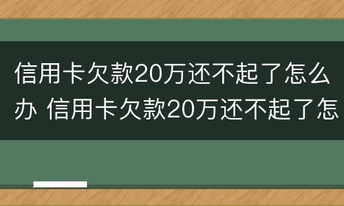 信用卡欠款20万还不起了怎么办 信用卡欠款20万还不起了怎么办理