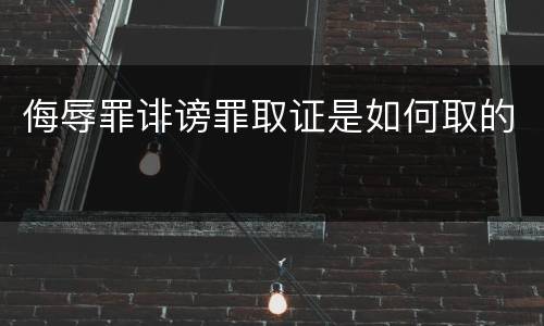 侮辱罪诽谤罪取证是如何取的