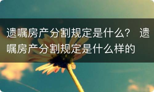 遗嘱房产分割规定是什么？ 遗嘱房产分割规定是什么样的
