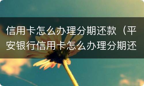 信用卡怎么办理分期还款（平安银行信用卡怎么办理分期还款）