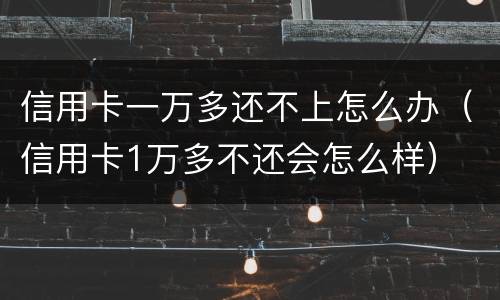 信用卡一万多还不上怎么办（信用卡1万多不还会怎么样）
