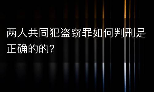 两人共同犯盗窃罪如何判刑是正确的的？