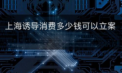 上海诱导消费多少钱可以立案