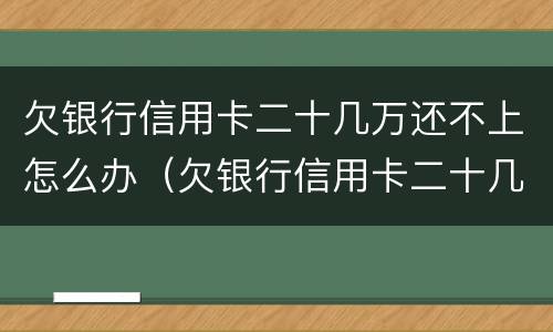 欠银行信用卡二十几万还不上怎么办（欠银行信用卡二十几万还不上怎么办呢）