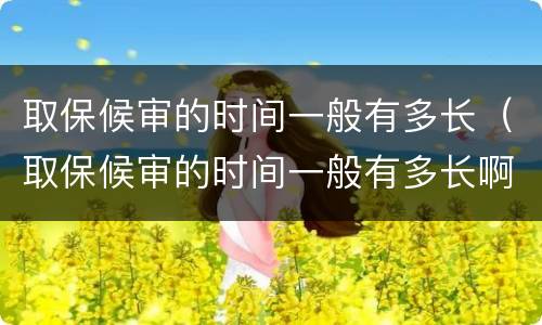 取保候审的时间一般有多长（取保候审的时间一般有多长啊）