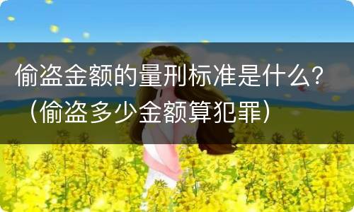 偷盗金额的量刑标准是什么？（偷盗多少金额算犯罪）