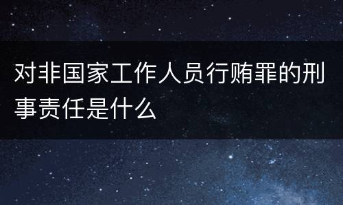 对非国家工作人员行贿罪的刑事责任是什么