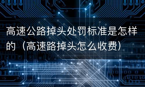 高速公路掉头处罚标准是怎样的（高速路掉头怎么收费）