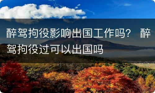 醉驾拘役影响出国工作吗？ 醉驾拘役过可以出国吗