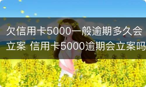 欠信用卡5000一般逾期多久会立案 信用卡5000逾期会立案吗