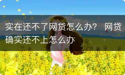 实在还不了网贷怎么办？ 网贷确实还不上怎么办