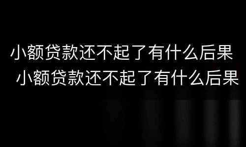 小额贷款还不起了有什么后果 小额贷款还不起了有什么后果呢