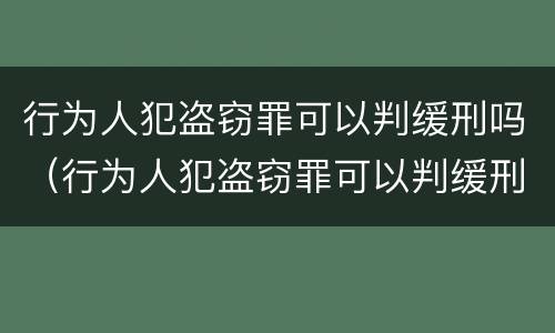 行为人犯盗窃罪可以判缓刑吗（行为人犯盗窃罪可以判缓刑吗）