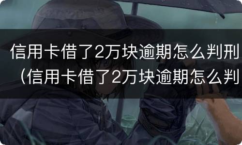 信用卡借了2万块逾期怎么判刑（信用卡借了2万块逾期怎么判刑的）