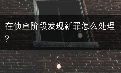 在侦查阶段发现新罪怎么处理？