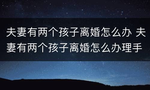 夫妻有两个孩子离婚怎么办 夫妻有两个孩子离婚怎么办理手续