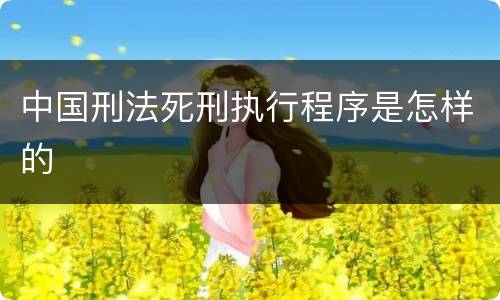 中国刑法死刑执行程序是怎样的