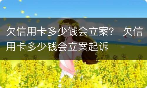 欠信用卡多少钱会立案？ 欠信用卡多少钱会立案起诉
