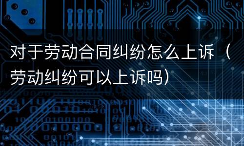 对于劳动合同纠纷怎么上诉（劳动纠纷可以上诉吗）