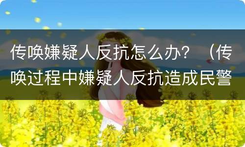 传唤嫌疑人反抗怎么办？（传唤过程中嫌疑人反抗造成民警受伤）
