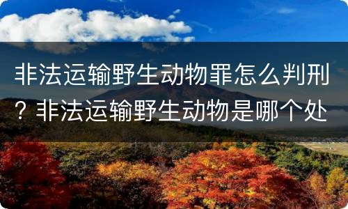 非法运输野生动物罪怎么判刑? 非法运输野生动物是哪个处罚