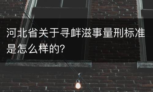 河北省关于寻衅滋事量刑标准是怎么样的？