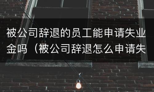 被公司辞退的员工能申请失业金吗（被公司辞退怎么申请失业金）